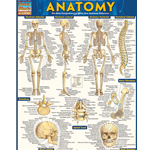 Barcharts: Anatomy