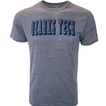 Victory Falls Triblend Tee in Fall Heather Grey