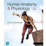 ADDITIONAL BCS 165/205 PRINT COPY HUMAN ANATOMY & PHYSIOLOGY