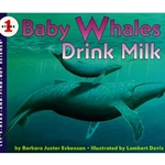 BABY WHALES DRINK MILK