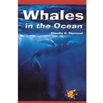 WHALES IN THE OCEAN