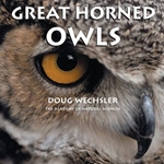 GREAT HORNED OWLS