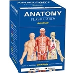 Barcharts Flashcards: Anatomy Pack