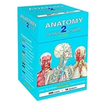 Barcharts Flashcards: Anatomy Pack 2