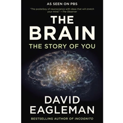 BRAIN