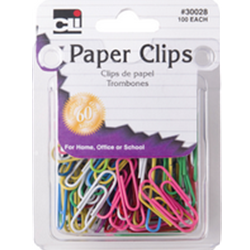 Paper Clips Assorted 100 pk