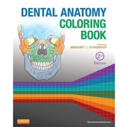 DENTAL ANATOMY COLORING BOOK