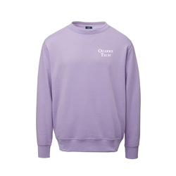 Unisex Crew in Stardust w/ Ozarks Tech Logo