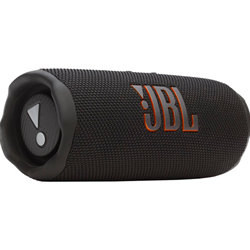 JBL Flip 7 Wireless Speaker in Black