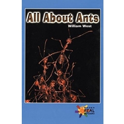 ALL ABOUT ANTS