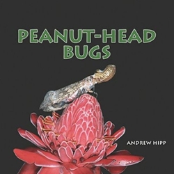 PEANUT-HEAD BUGS
