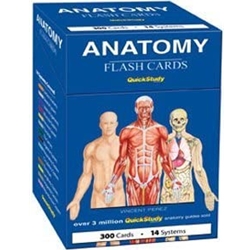 Barcharts Flashcards: Anatomy Pack