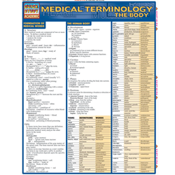 Barcharts: Medical Terms, The Body