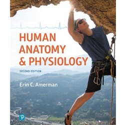 PRINT UPGRADE AA HB HUMAN ANATOMY & PHYSIOLOGY