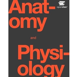ANATOMY & PHYSIOLOGY